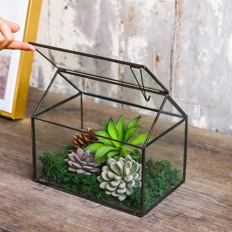 Levilan House Shape Close Glass Geometric Terrarium Tabletop Succulent Plant House Garden Planter Moss Fern Swing Lid, Flower Pot for Plants Succulent, Air Plant (Black) - Image 4